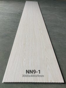 Nano NN9-1 1 363741324 299247796093598 1401699777545605970 n