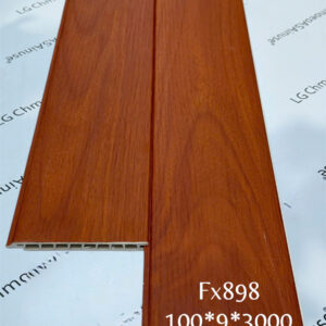 NANO100 FX898-9
