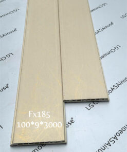 NANO100 FX185