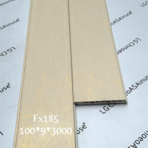 NANO100 FX185