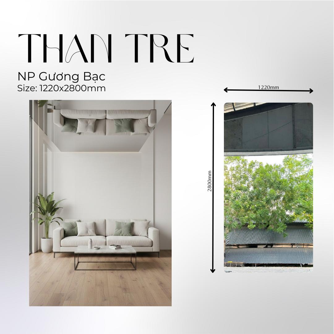 NP gương bạc NP guong bac