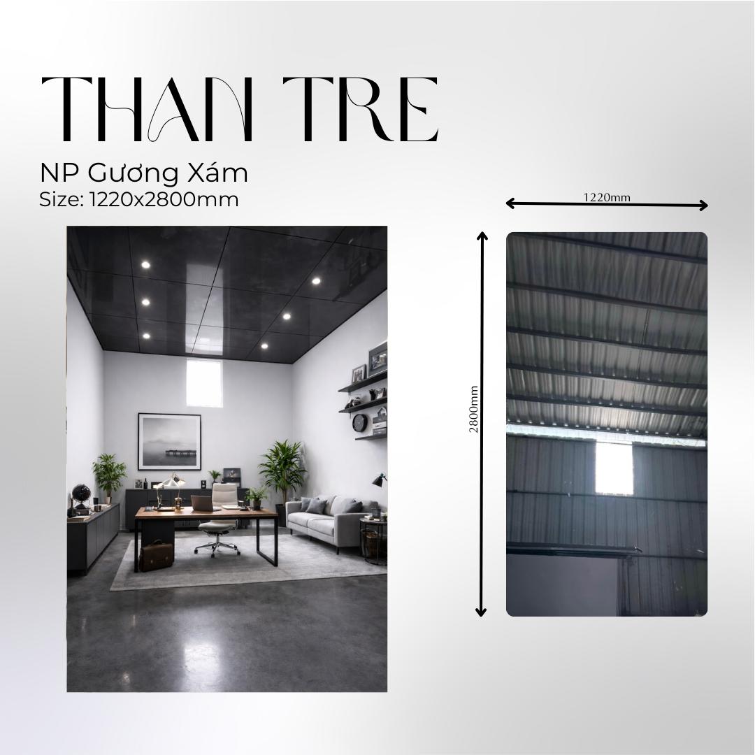 NP gương xám NP guong